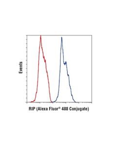 Cell Signaling Rip (D94c12) Xp Rabbit mAb (Alexa Fluor 488 Conjugate)