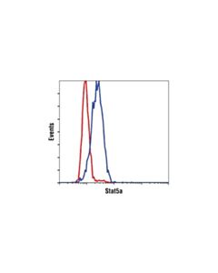 Cell Signaling Stat5a (4h1) Mouse mAb