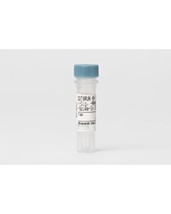 Cell Signaling Cut&Run 4x Stop Buffer