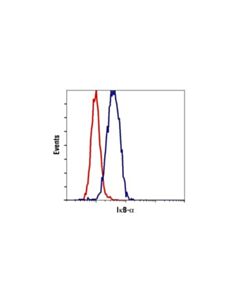 Cell Signaling Ikappabalpha (L35a5) Mouse mAb (Amino-Terminal Antigen)