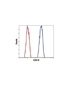 Cell Signaling Cox Iv (3e11) Rabbit mAb