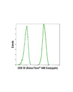 Cell Signaling Cox IV (3e11) Rabbit mAb (Alexa Fluor 488 Conjugate)