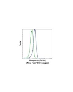 Cell Signaling Phospho-Akt (Thr308) (D25e6) Xp® Rabbit mAb (Alexa Fluor® 647 Conjugate)