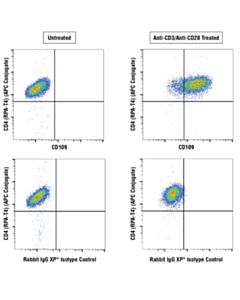 Cell Signaling Cd109 (E8l2w) Rabbit mAb