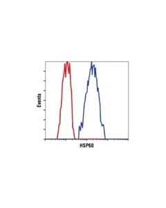 Cell Signaling Hsp60 (D85) Antibody