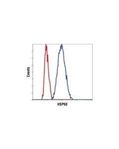 Cell Signaling Hsp60 (D307) Antibody