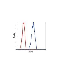 Cell Signaling Hsp70 (6b3) Rat mAb