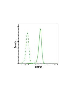 Cell Signaling Hsp90 (C45g5) Rabbit mAb