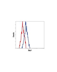 Cell Signaling Protein Folding And Stability Antibody Sampler Kit