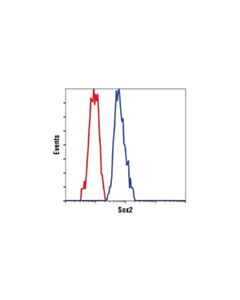 Cell Signaling Sox2 (L1d6a2) Mouse mAb