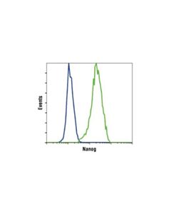 Cell Signaling Nanog (D73g4) Xp Rabbit mAb