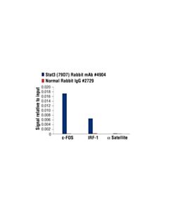 Cell Signaling Stat3 (79d7) Rabbit mAb