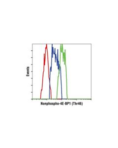 Cell Signaling Non-Phospho-4e-Bp1 (Thr46) (87d12) Rabbit mAb