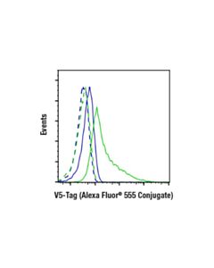 Cell Signaling V5-Tag (D3h8q) Rabbit mAb (Alexa Fluor® 555 Conjugate)