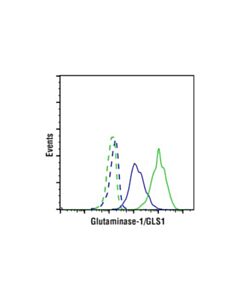 Cell Signaling Glutaminase-1/Gls1 (E4t9q) Rabbit mAb