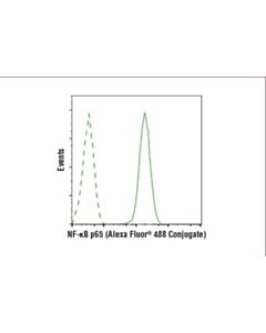 Cell Signaling Nf-Kappab P65 (D14e12) Xp Rabbit mAb (Alexa Fluor 488 Conjugate)