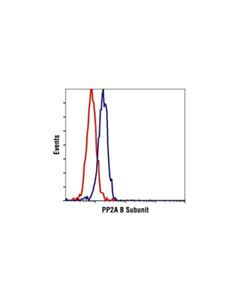 Cell Signaling Pp2a B Subunit Antibody