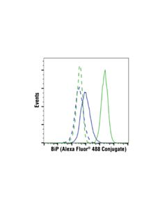 Cell Signaling Bip (C50b12) Rabbit mAb (Alexa Fluor 488 Conjugate)