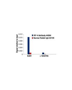 Cell Signaling Irf-4 Antibody