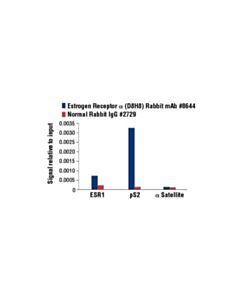 Cell Signaling Estrogen Receptor Alpha Activation Antibody Sampler Kit
