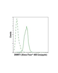 Cell Signaling Dnmt1 (D63a6) Xp Rabbit mAb