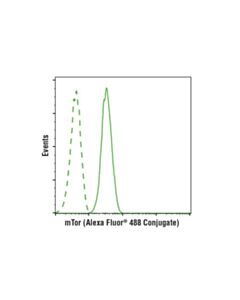 Cell Signaling Mtor (7c10) Rabbit mAb (Alexa Fluor 488 Conjugate)