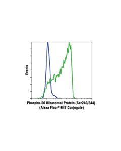 Cell Signaling Phospho-S6 Ribosomal Protein (Ser240/244) (D68f8) Xp Rabbit mAb (Alexa Fluor 647 Conjugate)