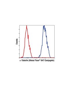 Cell Signaling Alpha-Tubulin (11h10) Rabbit mAb (Alexa Fluor 647 Conjugate)