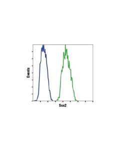 Cell Signaling Sox2 (D6d9) Xp Rabbit mAb (Alexa Fluor 488 Conjugate)
