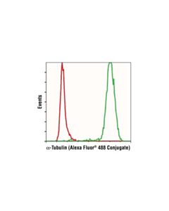 Cell Signaling Alpha-Tubulin (11h10) Rabbit mAb (Alexa Fluor 488 Conjugate)
