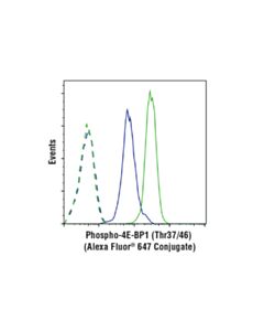 Cell Signaling Phospho-4e-Bp1 (Thr37/46) (236b4) Rabbit mAb (Alexa Fluor 647 Conjugate)