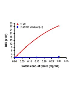 Cell Signaling Total Rip Matched Antibody Pair