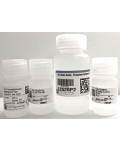 Cell Signaling Intracellular Flow Cytometry Kit (Triton X-100)