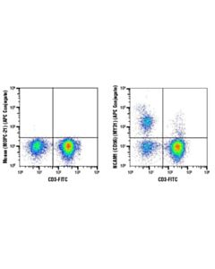 Cell Signaling Ncam1 (Cd56) (My31) Mouse mAb (Apc Conjugate)