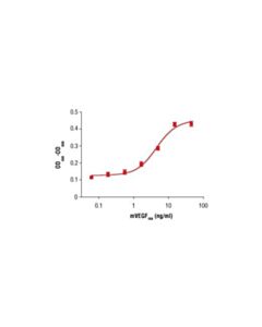 Cell Signaling Mouse Vascular Endothelial Growth Factor-164 (Mvegf 164 )