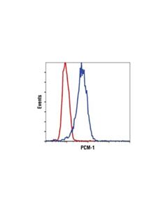 Cell Signaling Pcm-1 (G2000) Antibody