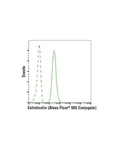 Cell Signaling Calreticulin (D3e6) Xp<LT/>Sup&Gt;®<LT/>/Sup&Gt; Rabbit mAb (Alexa Fluor<LT/>Sup&Gt;®<LT/>/Sup&Gt; 555 Conjugate)