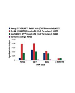 Cell Signaling Nanog (D73g4) Xp Rabbit mAb (Chip Formulated)