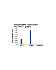 Cell Signaling Ezh2 (D2c9) Xp<LT/>Sup&Gt;®<LT/>/Sup&Gt; Rabbit mAb