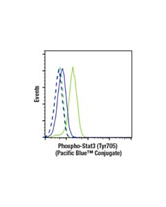 Cell Signaling Phospho-Stat3 (Tyr705) (D3a7) Xp® Rabbit mAb (Pacific Blue™ Conjugate)
