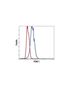 Cell Signaling Pcm-1 (Q15) Antibody