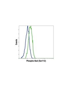 Cell Signaling Phospho-Bad (Ser112) (40a9) Rabbit mAb