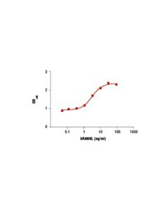 Cell Signaling Human Rankl/Trance/Tnfsf11 (Hrankl)