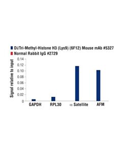 Cell Signaling Di/Tri-Methyl-Histone H3 (Lys9) (6f12) Mouse mAb