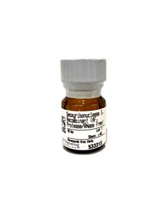 Cell Signaling Deoxyribonuclease I, Recombinant (Animal-Free, Protease And Rnase Free)