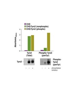 Cell Signaling Pathscan Phospho-Tyro3 (Pantyr) Sandwich Elisa Kit