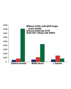 Cell Signaling Mouse (E7q5l) mAb Igg2b Isotype Control