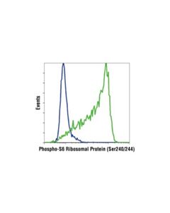 Cell Signaling Phospho-S6 Ribosomal Protein (Ser240/244) (D68f8) Xp Rabbit mAb