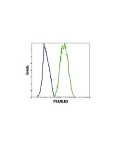 Cell Signaling Psa/Klk3 (D6b1) Xp Rabbit mAb