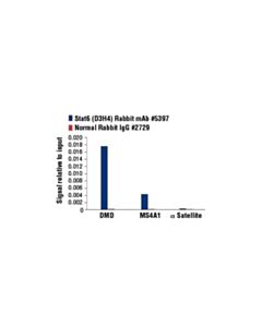 Cell Signaling Stat6 (D3h4) Rabbit mAb